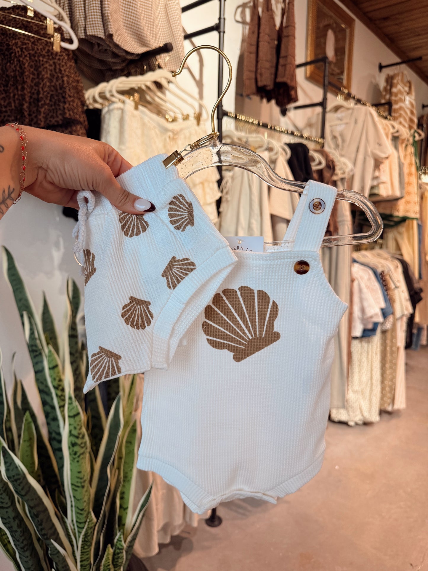 Seashell Set