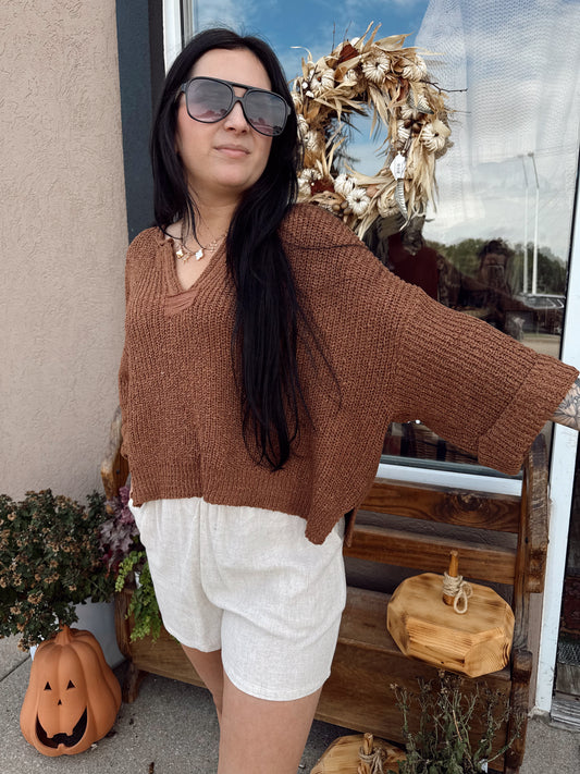 Rory Brown Sweater
