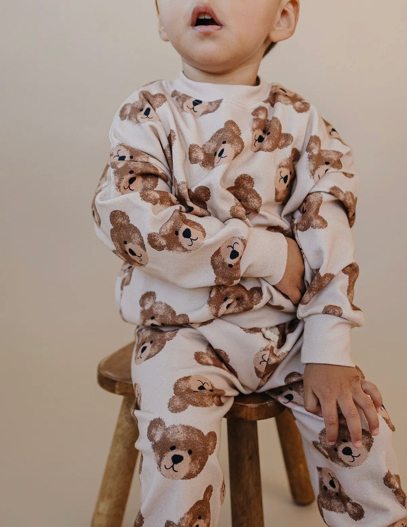 Cuddly Teddy Bear Set