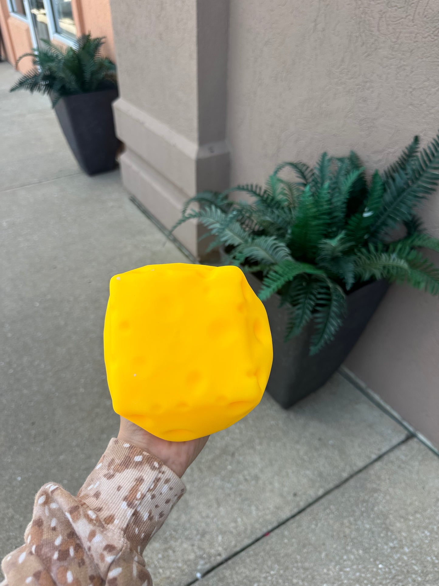 Cheese Squish