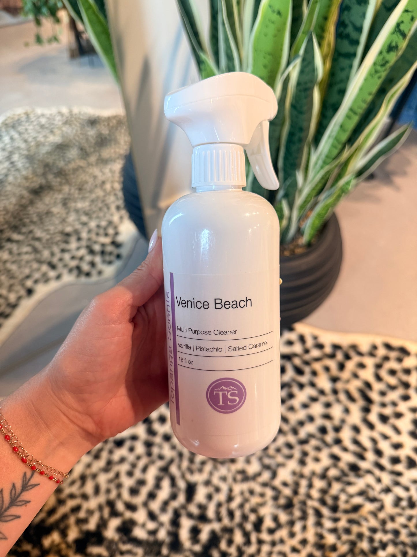 TS Venice Beach Multi Purpose Cleaner
